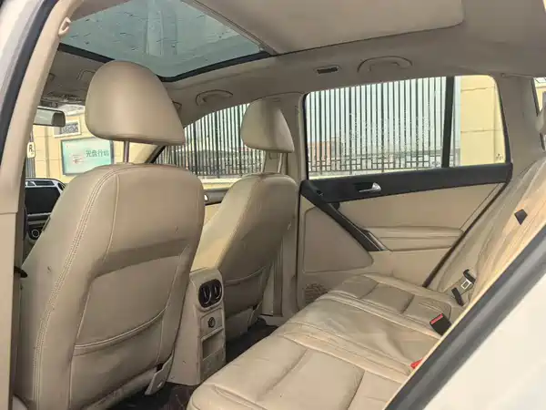 Volkswagen Tiguan 2010