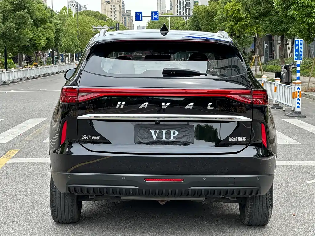 Haval H6 2023 — фото 14