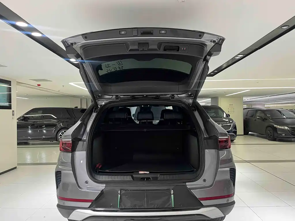 BYD PLUS New Energy 2022 — фото 13