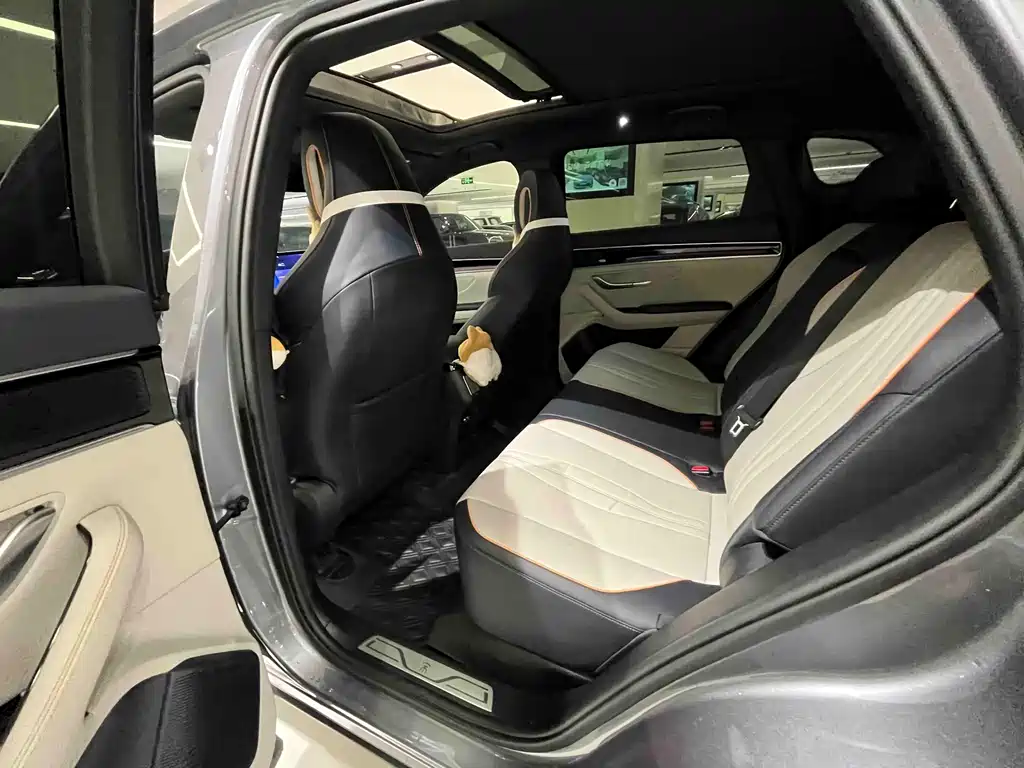 BYD PLUS New Energy 2022 — фото 12