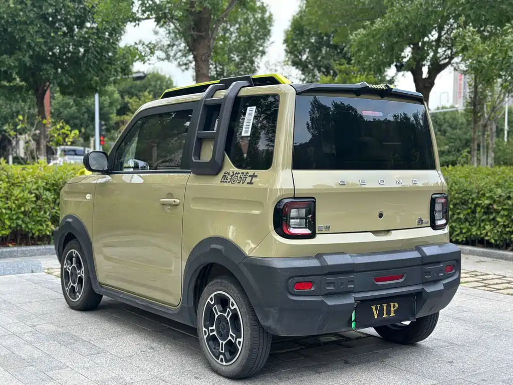 Galaxy Panda 2025