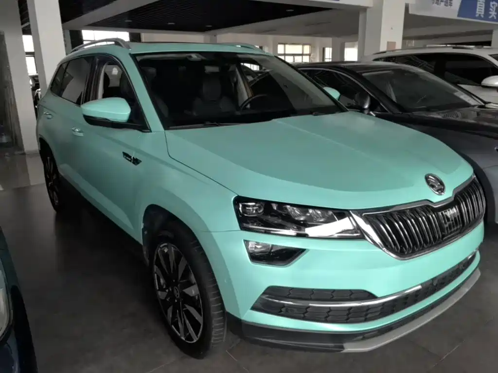 Skoda Karoq 2019 — фото 4