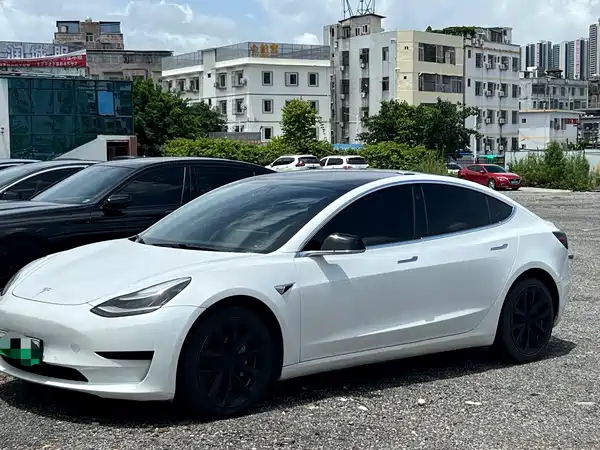 Tesla Model 3 2021