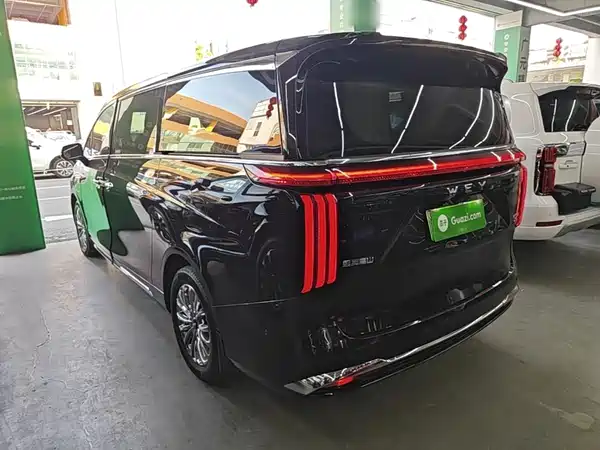 Wey Wey 2024