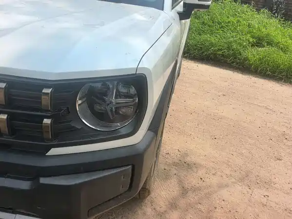 Haval Cool Dog 2023