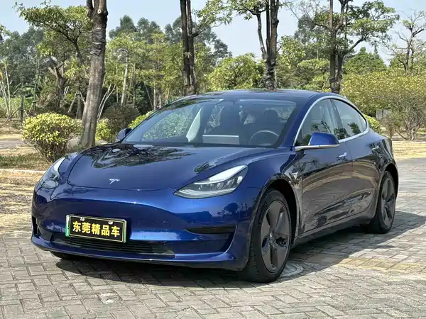 Tesla Model 3 2019