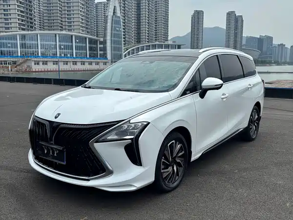 Dongfeng Popular Yacht 2023