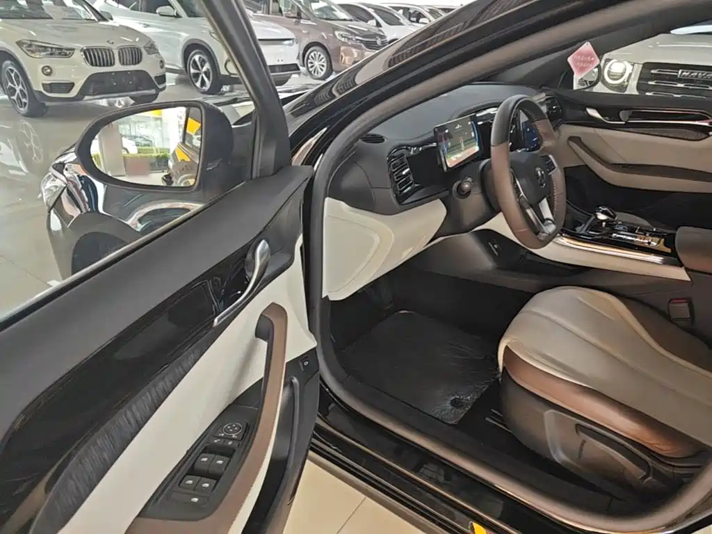 BYD Qin PLUS 2024 — фото 16