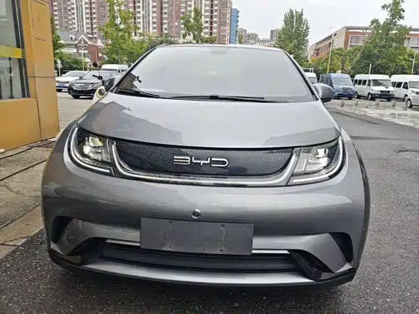 BYD Dolphin 2022