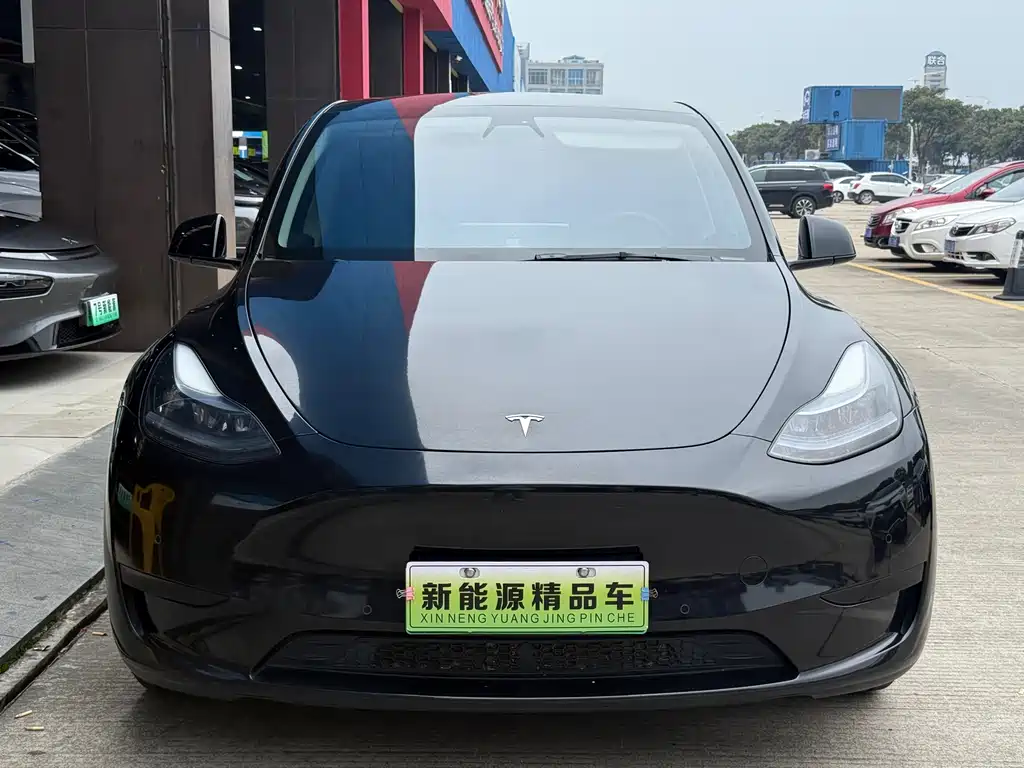 Tesla Model Y 2023 — фото 2