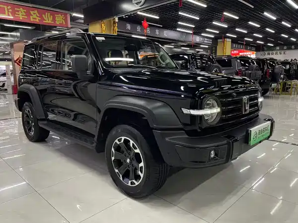 Tank 300 New Energy 2025