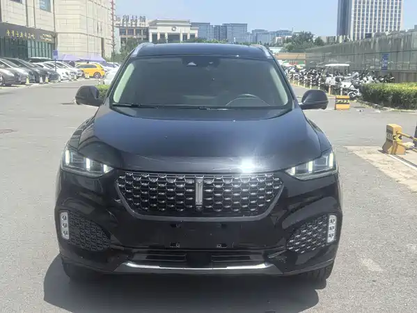 Wey VV6 2020