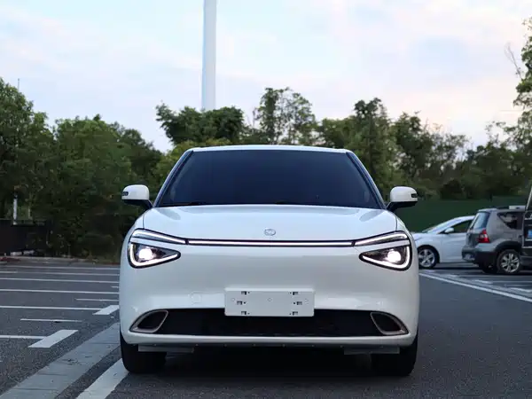 Dongfeng Nano 01 2024