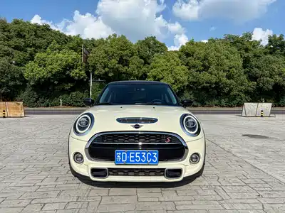 MINI MINI 2021