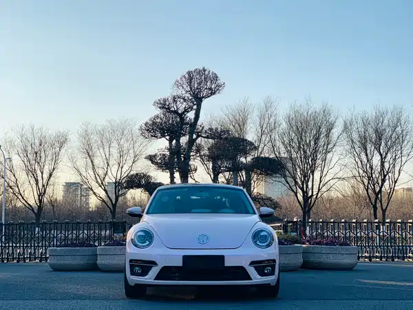 Volkswagen Beetle 2015