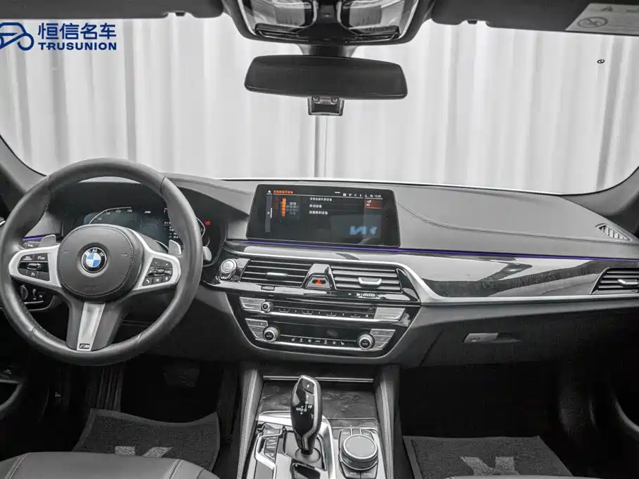 BMW 5 Series 2020 — фото 13