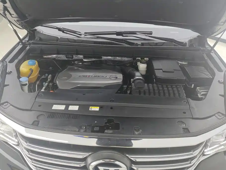 GAC Trumpchi GS8 2018 — фото 10
