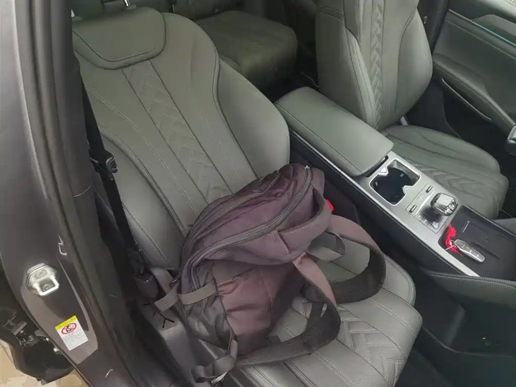 BYD L DM-i 2025 — фото 25