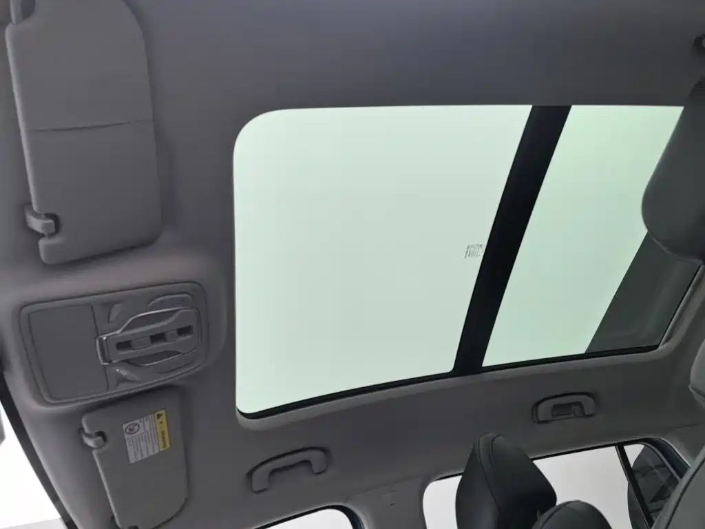 Roewe RX5 MAX 2021 — фото 14