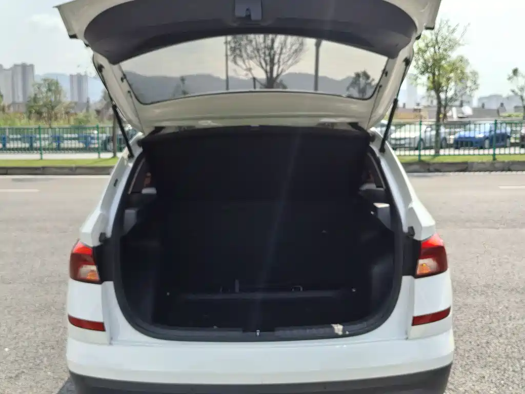 Skoda Kamiq 2021 — фото 13