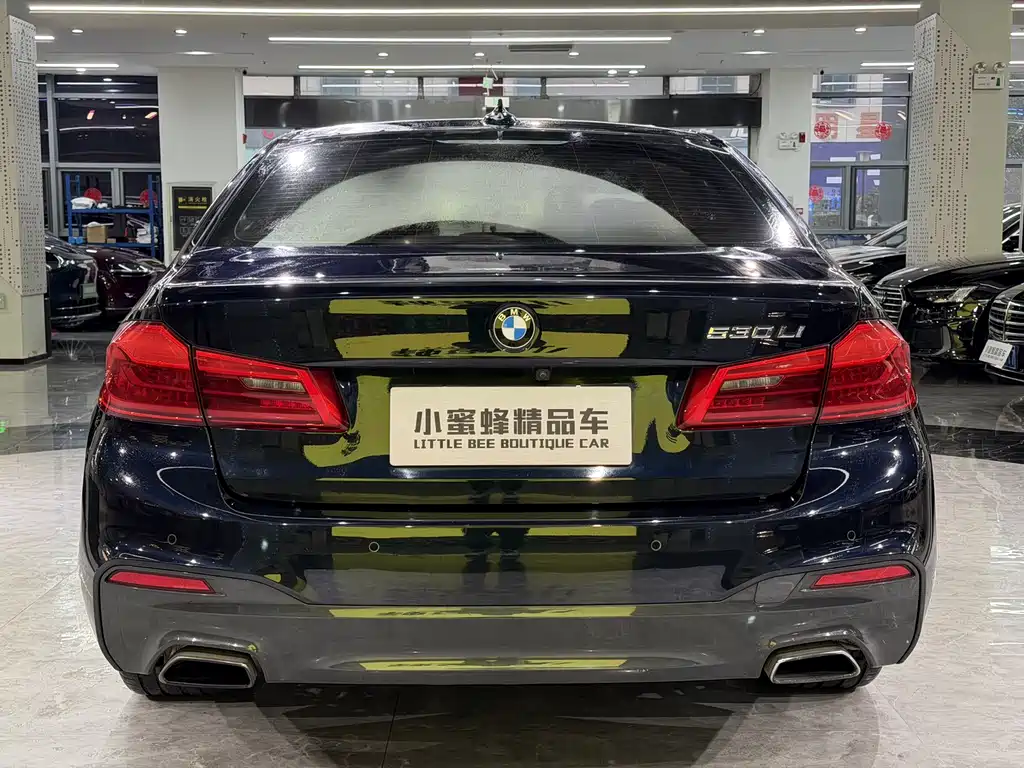 BMW 5 Series 2019 — фото 15