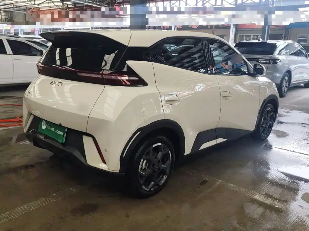 BYD Seagull 2025