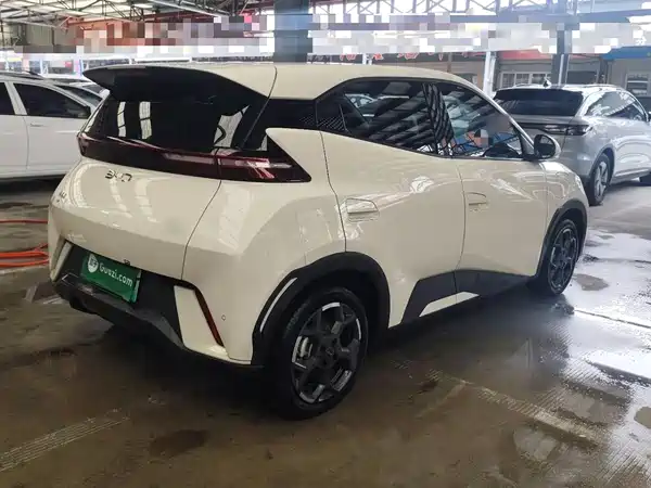 BYD Seagull 2025