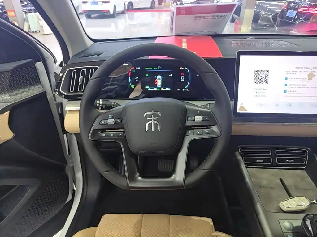 BYD Song Pro New Energy 2025 — фото 11