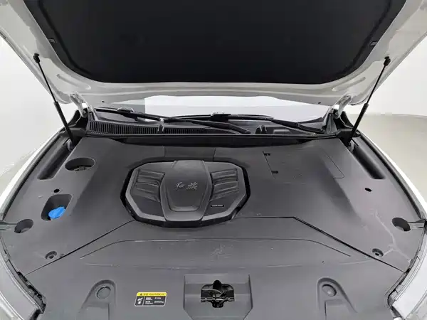 Hongqi HS5 2019