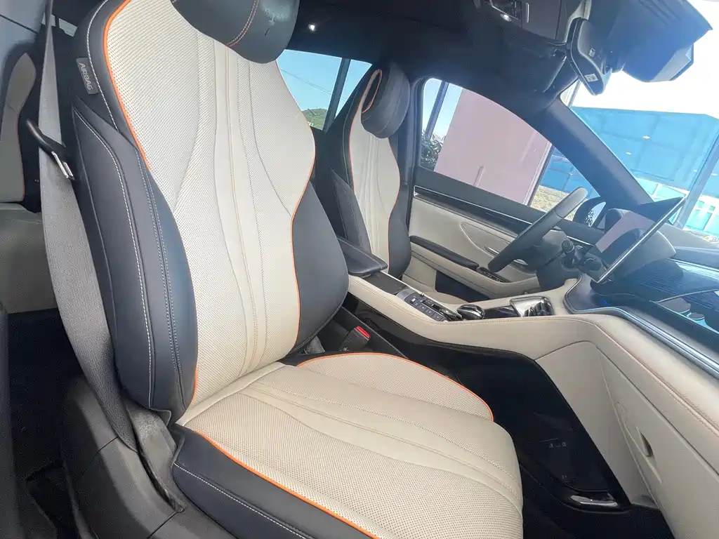 BYD Song PLUS New Energy 2022 — фото 17