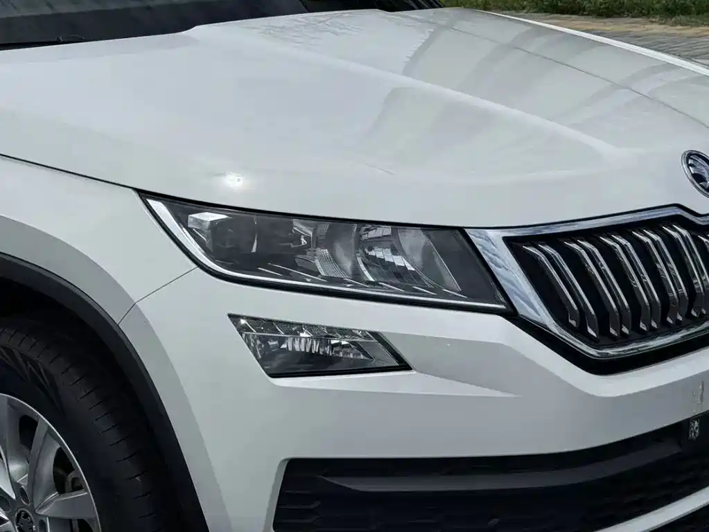 Skoda Kodiaq 2018 — фото 5