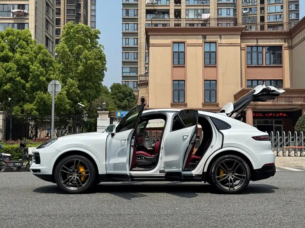 Porsche Cayenne 2020 — фото 18