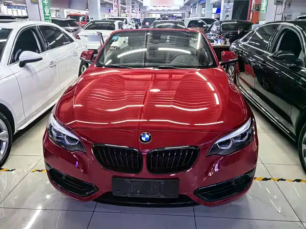 BMW 2 Series 2019