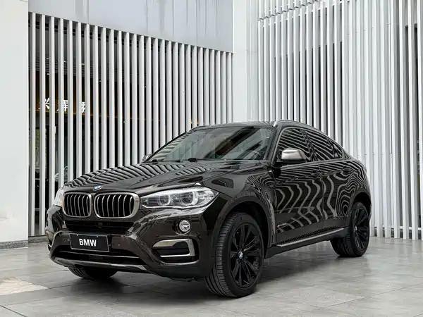 BMW X6 2019