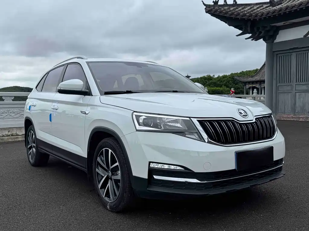 Skoda Kamiq 2023 — фото 3