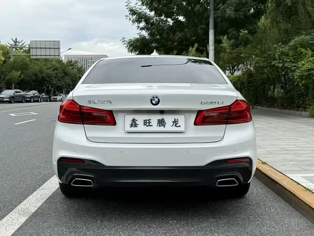 BMW 5 Series 2019 — фото 17