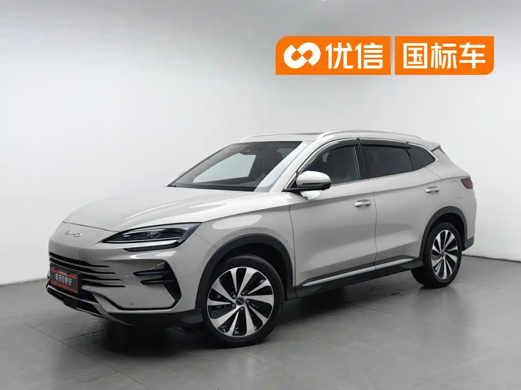 BYD Song PLUS New Energy 2024 — фото 1