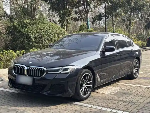 BMW 5 Series 2022