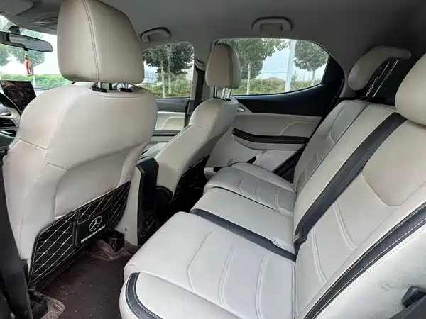 BYD Yuan Pro 2022