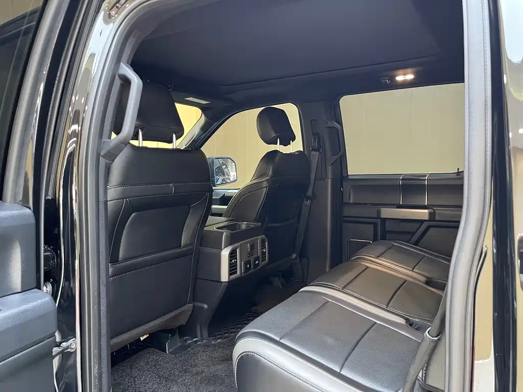 Ford F-150 Raptor 2019 — фото 13