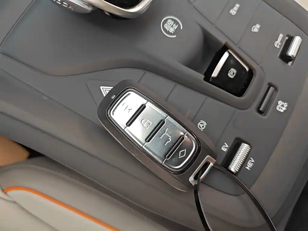 BYD Song Pro New Energy 2024 — фото 9