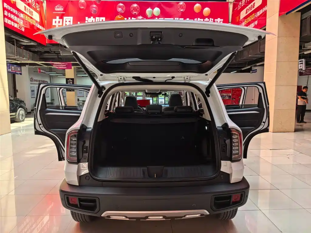 Haval Big Dog 2021 — фото 19