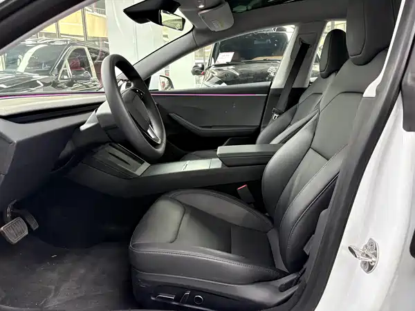 Tesla Model 3 2024