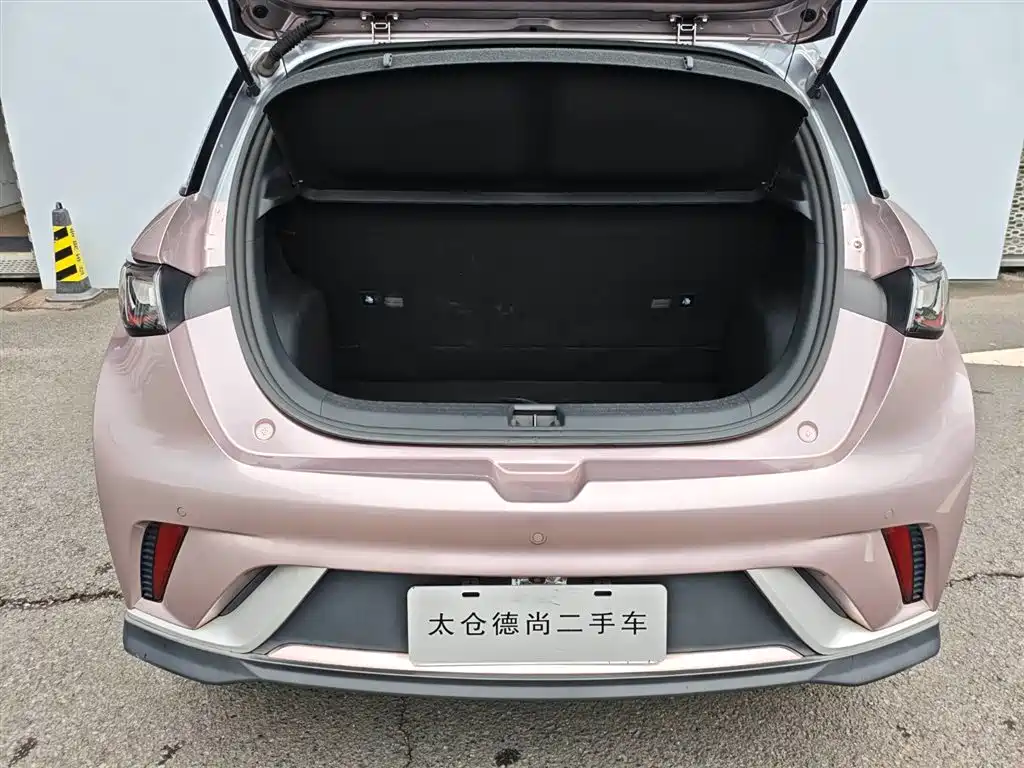 BYD Dolphin 2021 — фото 9