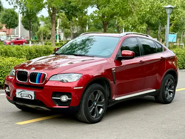 BMW X6 2010