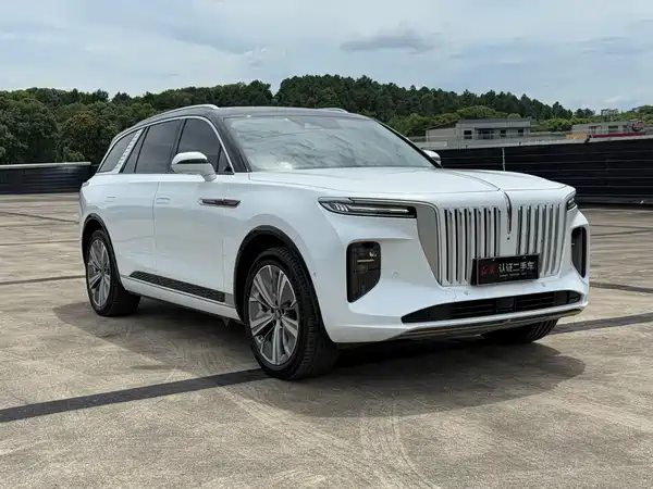 Hongqi E-HS9 2023