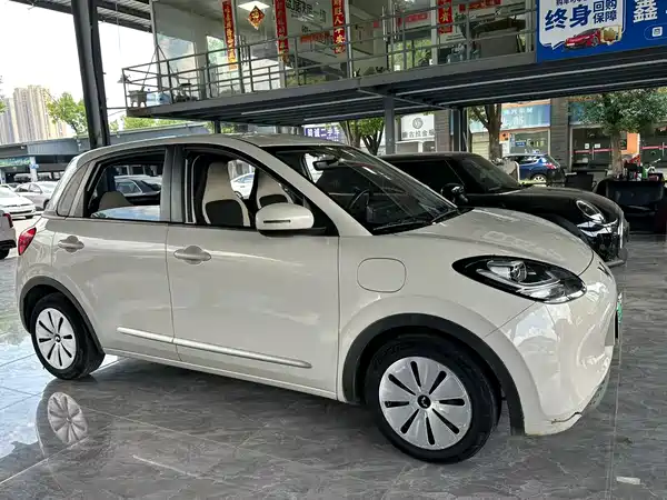 Wuling Bingo 2024