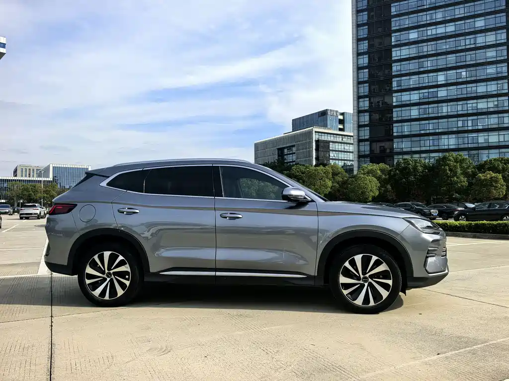 BYD PLUS New Energy 2024 — фото 11
