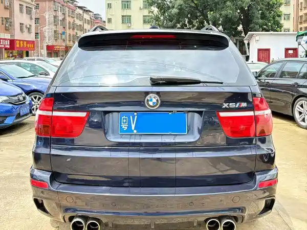 BMW X5 2009