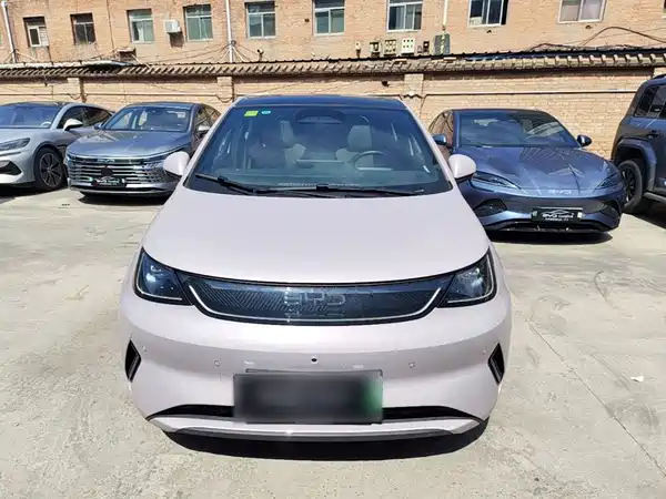 BYD Dolphin 2025